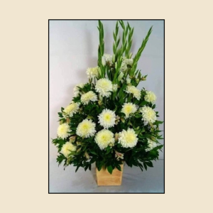 Base con 18 Crisantemos