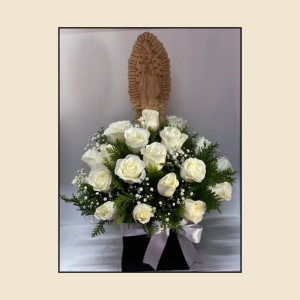 Caja con 24 Rosas una Sola Vista